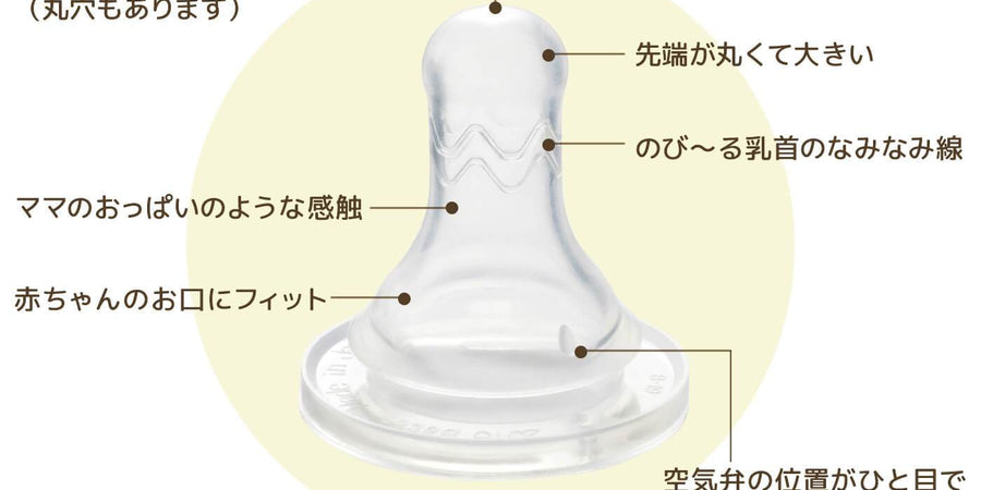 ブレイン乳首の機能