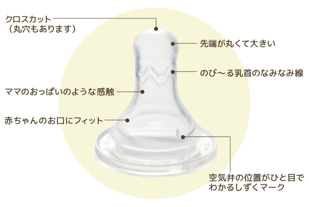 ブレイン乳首の機能